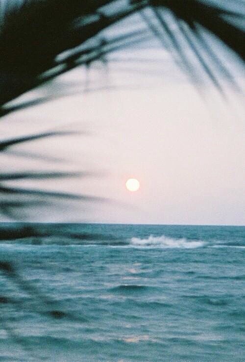 kushandwizdom:  More pictures here