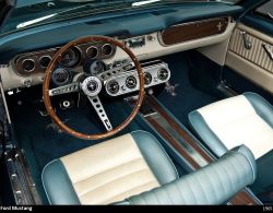 carsontheroad:Classic and antique cars (till