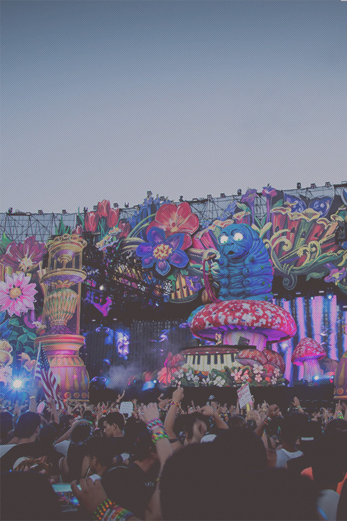 rave-republic:  Headhunterz @ Beyond Wonderland '13 | Eric Asuncion  