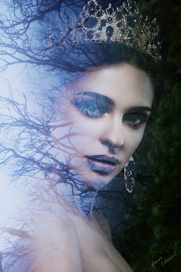 tauchner:  Ljiljana Romanovic - Forest Whispers