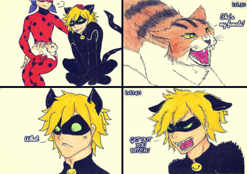 heizuha:When your C(h)at is jealous  (=^・^=)  