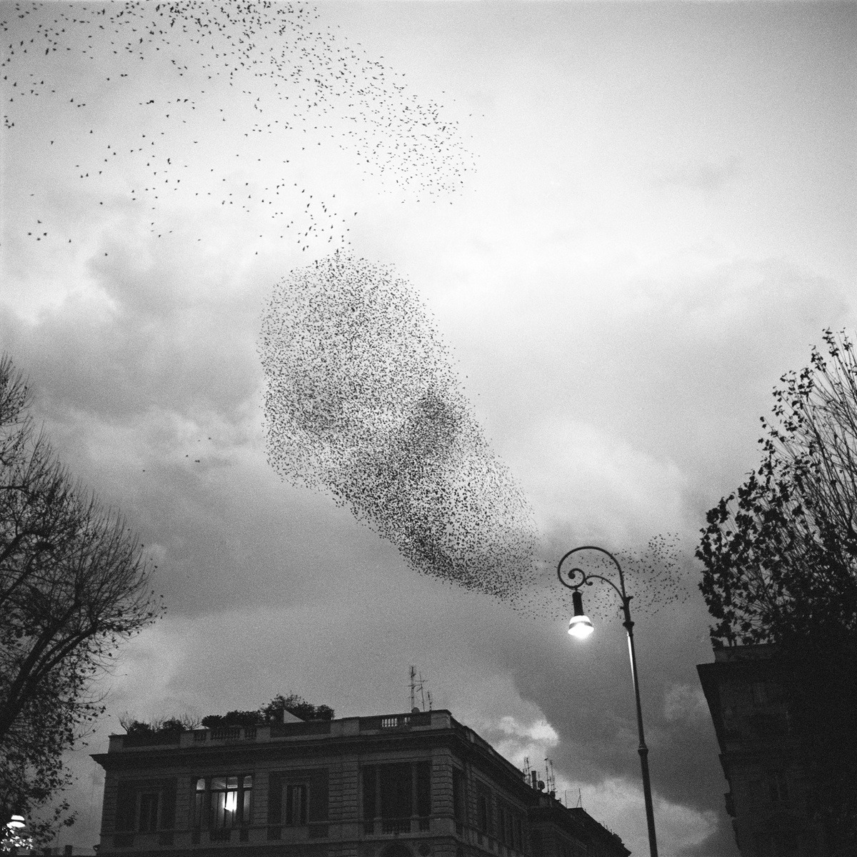 alyssadehayes:  Kudzu Creep: I made a Southern Gothic playlist for your Halloween