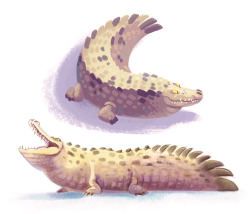 kendra-p:  Last weekend I saw some big orinoco crocodiles. I fell in love with their CUTE LIL FATFATS, and then I drew them. Ok. 