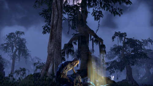 Travels with my skeleton&hellip;13th Frostfall is  known throughout Tamriel as the Witches&rsquo; Fe