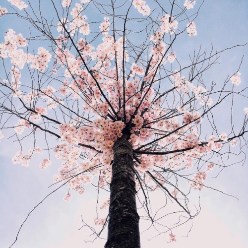 crossconnectmag:  Photography by Sandra Linnell Sandra Linnell is a 36 years old self-taught photographer, based in Stockholm, Sweden. She shoots a lot of nature and lifestyle photography using an Olympus OMD EM-10 and is an ambassador of the brand. 