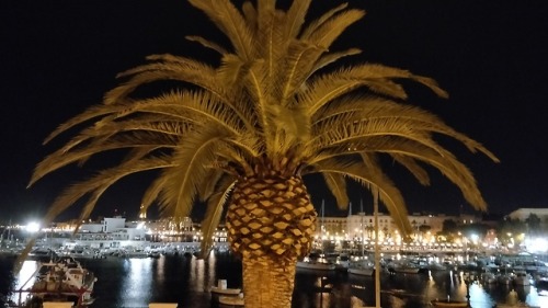 Pussytwitches checking out the Adriatic from Bari