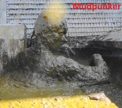 mudpunker: Mudpunker in manure pit