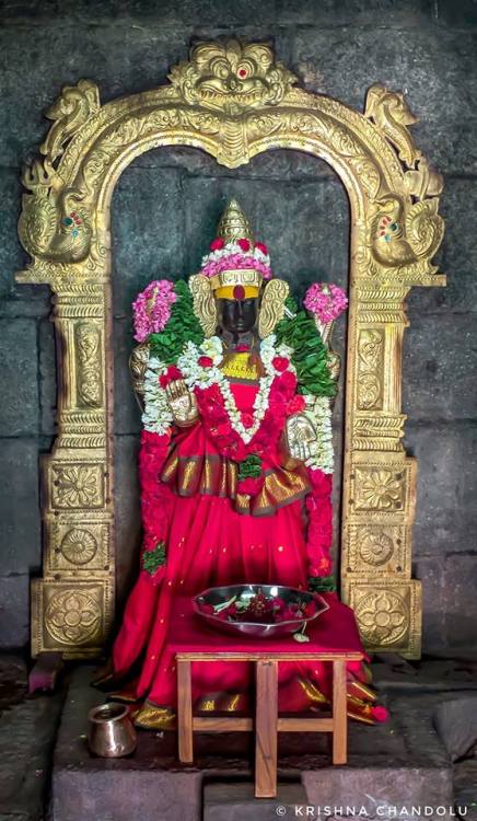 Tripurasundari, Gudimallam, Andhra Pradesh, photo by Krishna Chandolu