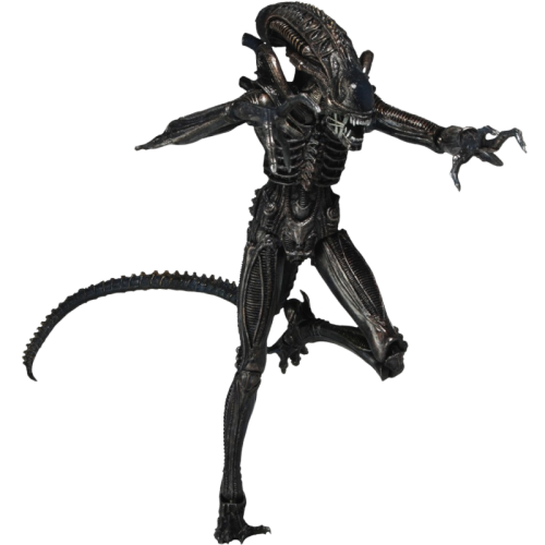 Xenomorph