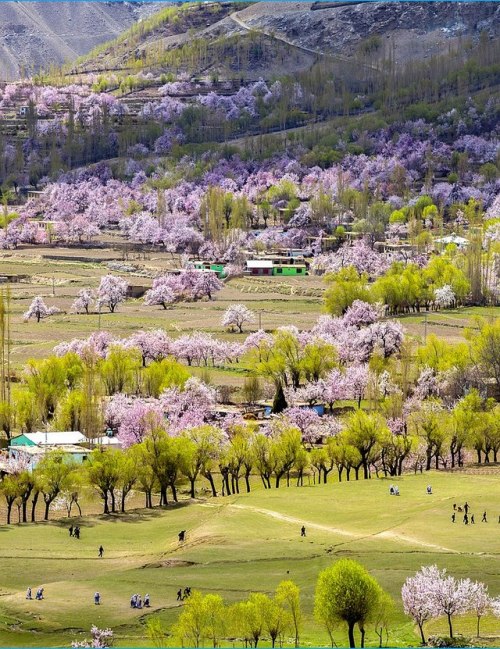 Chunda Valley, Skardu, Pakistan.(Source)