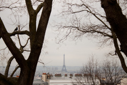  { Paris rooftops } 