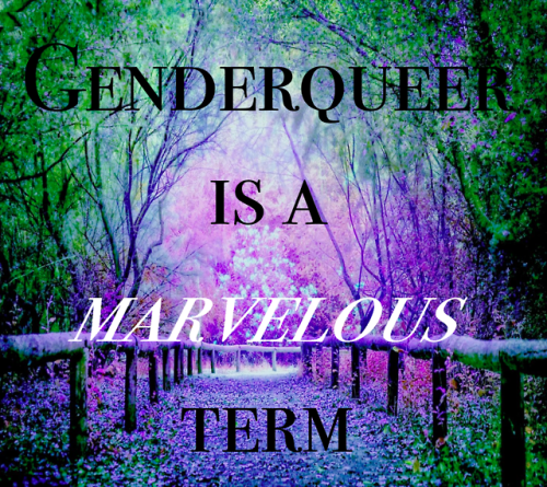 nonbinaryresource:[The text “Genderqueer is a Marvelous Term” lays over top a landscape photo of a g