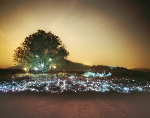 unicorn-meat-is-too-mainstream:  “Starry Night” by Lee Eunyeol Bhakta’s Weblog:  facebook  |  twitter  |  pinterest  | subscribe
