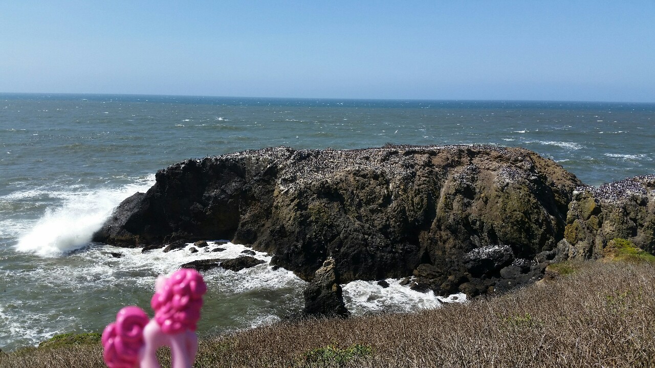 koipony:  pinkiepiesightings:  “Hmm, I don’t see any seaponies. Just thousands