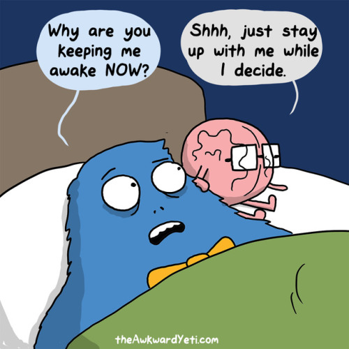 theAwkwardYeti.com