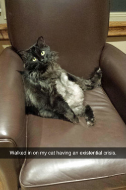 tastefullyoffensive:  [somethingsarcastic]