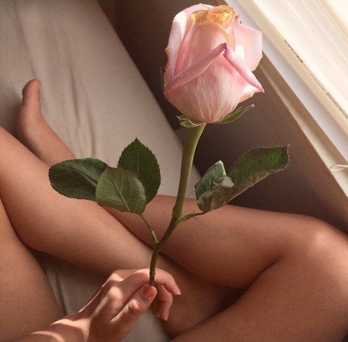http://amorsincondicion1.tumblr.com/post/171917722241
