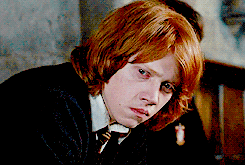  I’m the sixth in our family to go to Hogwarts. You could say I got a lot to live up to. […] Everyone expects me to do as well as the others, but if I do, it’s no big deal, because they did it first. 