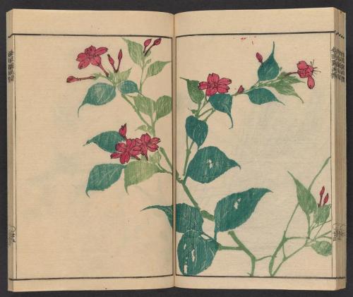 heaveninawildflower: ‘Kinpaen gafu’ by Bunpō Kawamura (Japanese, 1779-1821).  Publ