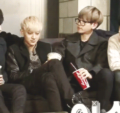 purpleuhan:  baekhyun teasing tao 