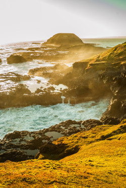 theearthinimages:  Phillip Island, Australia.