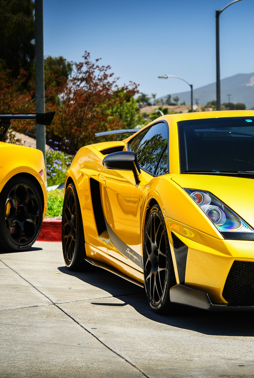 motorsport-photography:  Gallardo 