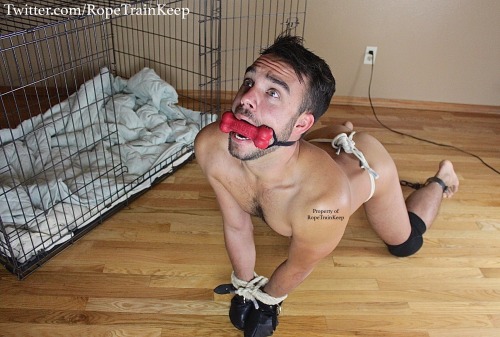 subidea: ropetrainkeep:I am so grateful to have spent so much time binding, gagging, and exploring t