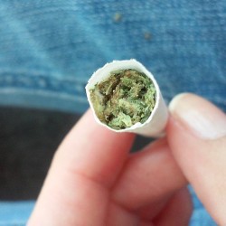 theprettylittlestoner:  Filled it up ……. very carefully 😄 #dank #girlswhosmoke #Girlswhogrow #emptycig #stuffit #kush #smokeit #flyhigh