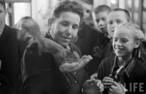 “Got squirrel. Now where’s moose?”(Edward Clark. 1955)