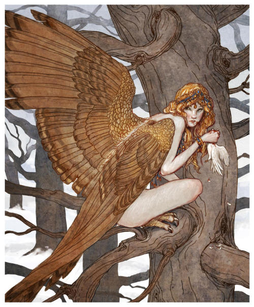 enchantedbook: ‘Harpy’, Art by Erin Kelso 
