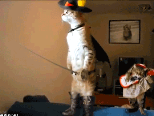 wacollabo:  only——gifs:   Check me blog!  