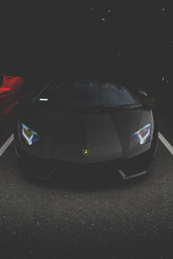 gentscartel:   The Dark Bull // GC 