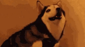 deimido:  knowing all of the shit that goes down in a video game u finished and watching a friend play it for the first time 