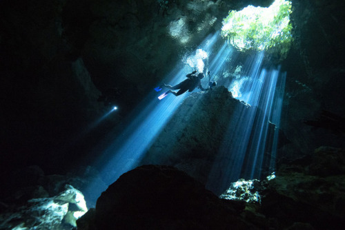 Cenotes are massivesinkholes formed when a cave&rsquo;s ceiling collapses underwater, creatinga netw