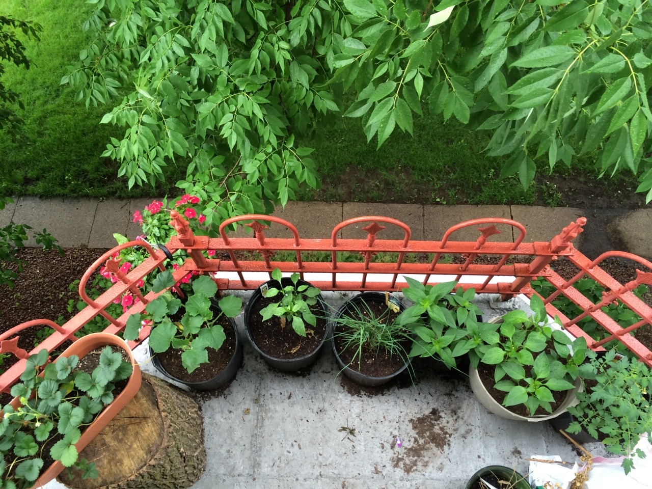 liveinexcess:  My porch 