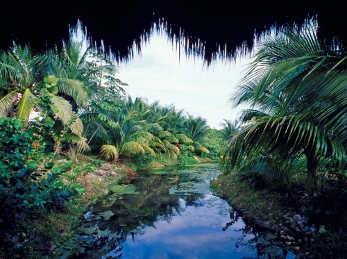 stressless-zone:  Yucatan, Mexico