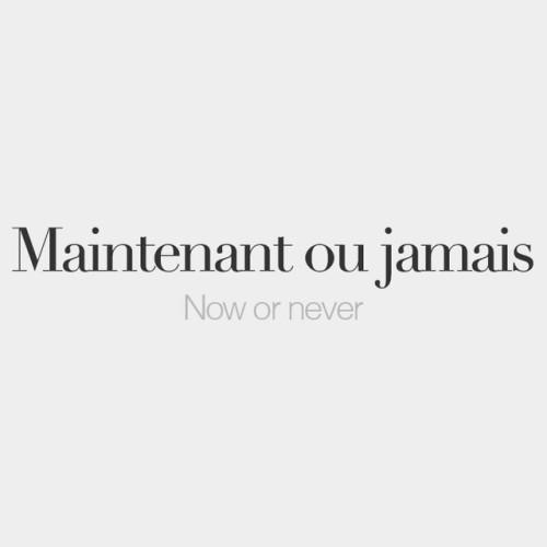 bonjourfrenchwords:Maintenant ou jamais | porn pictures