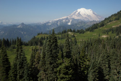 kevinhasacamera:  The Pacific Crest Trail. Mt. Rainer National Park, Washington.