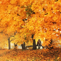 Let's Fall In Love with Autumn!