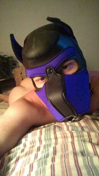 Sex otter-pup-the-pup:  Wruff Wruff.   *Wags" pictures