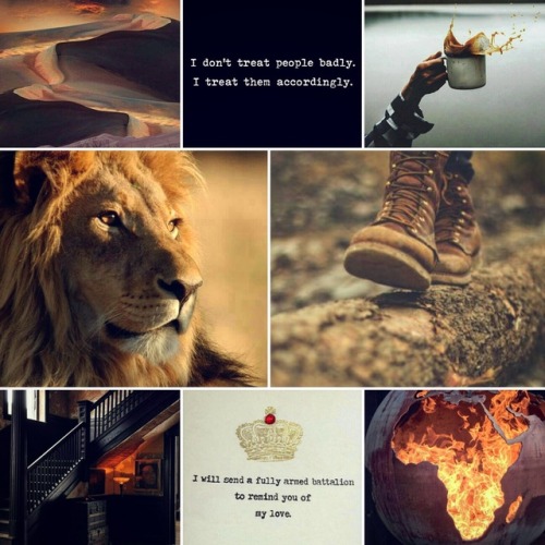 Gryffindor ENTJ Thunderbird Aesthetic