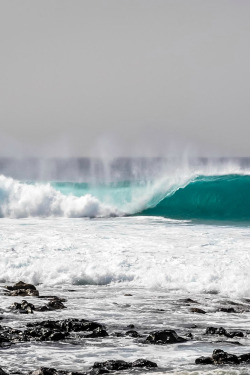 disminucion:  Punta preta - Cap Vert, Benjamin