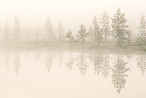 tiinatormanenphotography: Some summer vibes.  “Early morning” series from last year