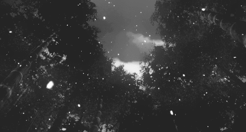 l-alj.tumblr.com/post/135804002167/