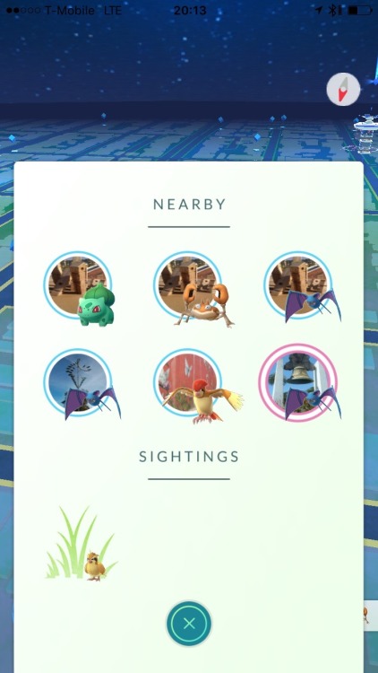 bestofpokemongo: The new tracker being tested with a select number of users