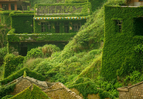 abandonedandurbex:Houtouwan - Abandoned fishing village in China [1400x974]