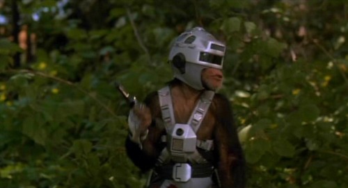 The Lawnmower Man