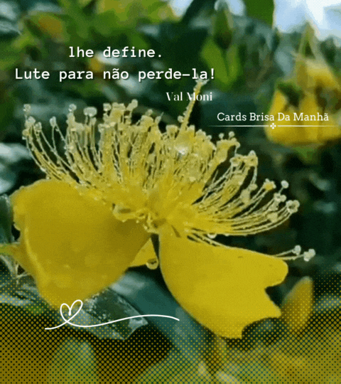 c830668815a8f24dce9cf4316ce5f7665700b1be