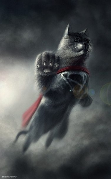 longlivethebat-universe:  Justice Cats of America
