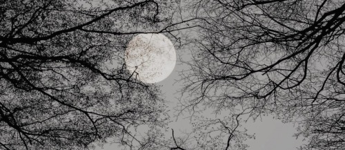 I Feel As Though, While A Werewolf, I Am And Always Have Been A Gentle Soul. I Dont Have Memories Of
